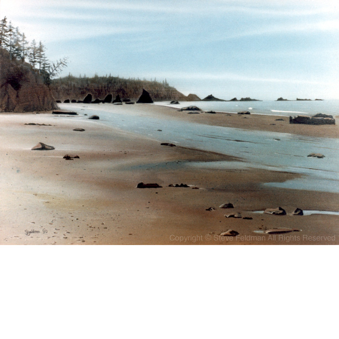  Ruby Beach landscape painting