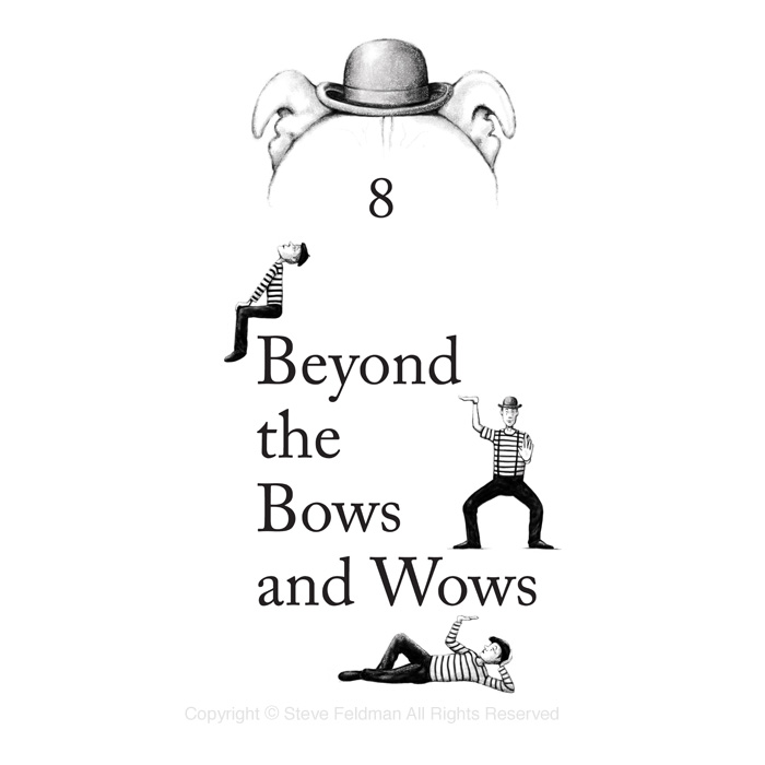 Beyond the Bows and Wows